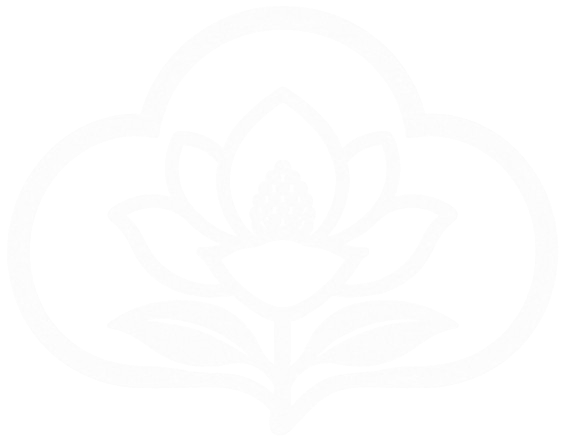 Cloud Magnolia - Website Design East Cobb GA